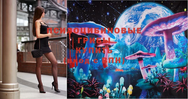 ГАЛЛЮЦИНОГЕННЫЕ ГРИБЫ Володарск