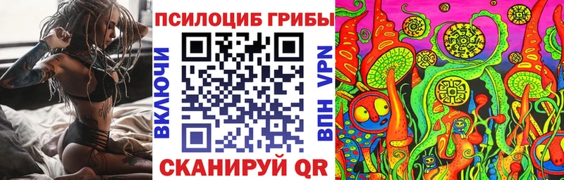 Псилоцибиновые грибы мицелий  Купить закладки  Коломна 