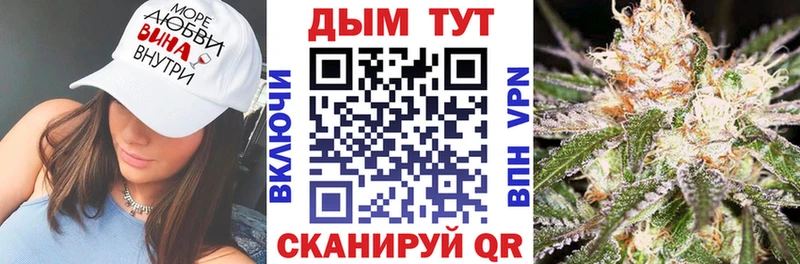 Купить  Коломна  Каннабис план 